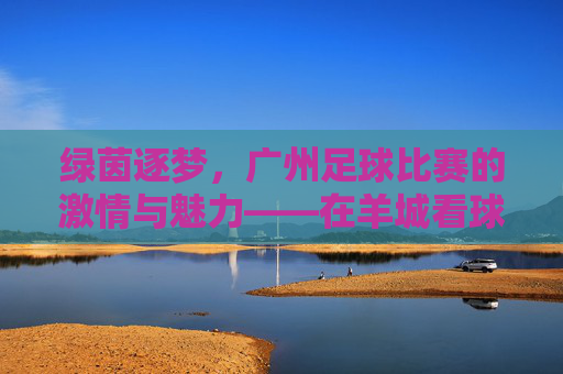 绿茵逐梦，广州足球比赛的激情与魅力——在羊城看球，感受足球的温度与城市的活力，绿茵逐梦，广州足球比赛的激情与魅力——在羊城看球，感受足球的温度与城市的活力