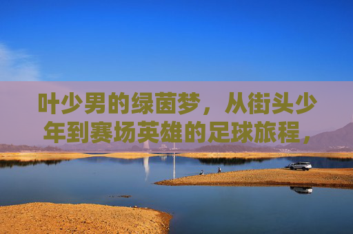 叶少男的绿茵梦,从街头少年到赛场英雄的足球旅程,叶少男的绿茵梦,从街头少年到赛场英雄的足球旅程