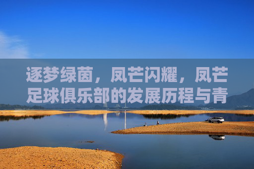 逐梦绿茵,凤芒闪耀,凤芒足球俱乐部的发展历程与青春力量