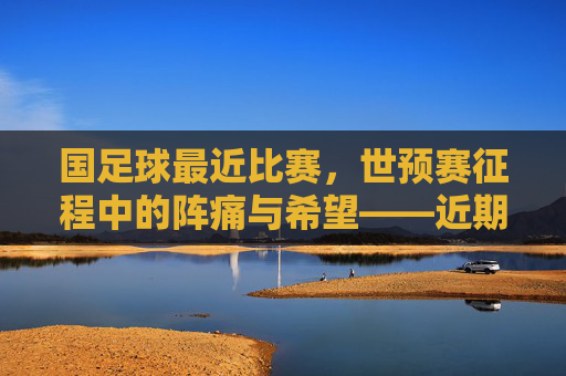 国足球最近比赛，世预赛征程中的阵痛与希望——近期关键对决的深度剖析，世预赛征程中的阵痛与希望，国足球近期关键对决深度剖析