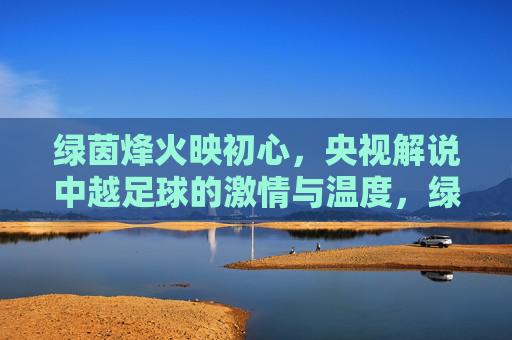 绿茵烽火映初心,央视解说中越足球的激情与温度,绿茵烽火映初心,央视解说中越足球的激情与温度