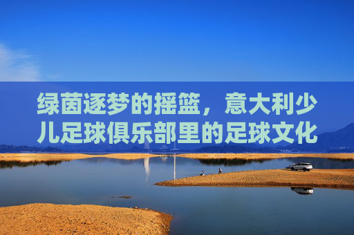 绿茵逐梦的摇篮，意大利少儿足球俱乐部里的足球文化传承与成长教育，绿茵逐梦的摇篮，意大利少儿足球俱乐部里的足球文化传承与成长教育