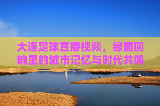 大连足球直播视频，绿茵回响里的城市记忆与时代共鸣，大连足球直播视频，绿茵回响里的城市记忆与时代共鸣