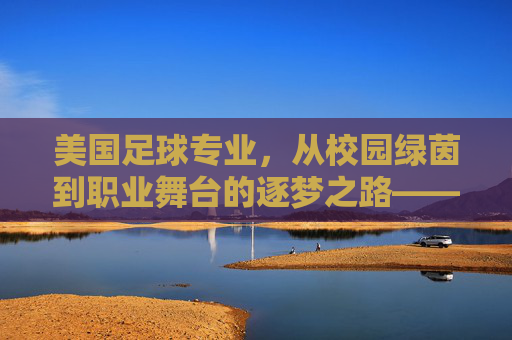 美国足球专业,从校园绿茵到职业舞台的逐梦之路——解析NCAA体系与职业发展的衔接