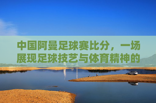 中国阿曼足球赛比分,一场展现足球技艺与体育精神的竞技对决