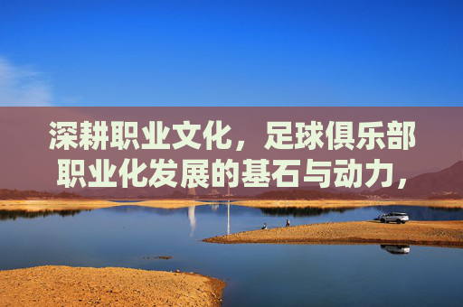 深耕职业文化,足球俱乐部职业化发展的基石与动力,深耕职业文化,足球俱乐部职业化发展的基石与动力