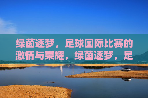 绿茵逐梦,足球国际比赛的激情与荣耀,绿茵逐梦,足球国际比赛的激情与荣耀