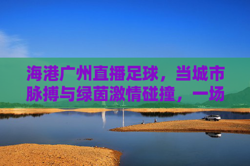 海港广州直播足球，当城市脉搏与绿茵激情碰撞，一场属于羊城的足球盛宴