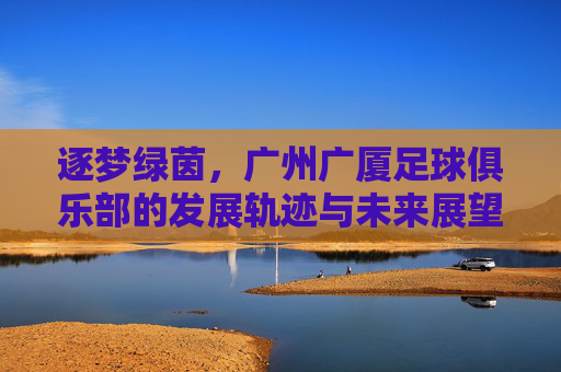 逐梦绿茵，广州广厦足球俱乐部的发展轨迹与未来展望，逐梦绿茵，广州广厦足球俱乐部的发展轨迹与未来展望