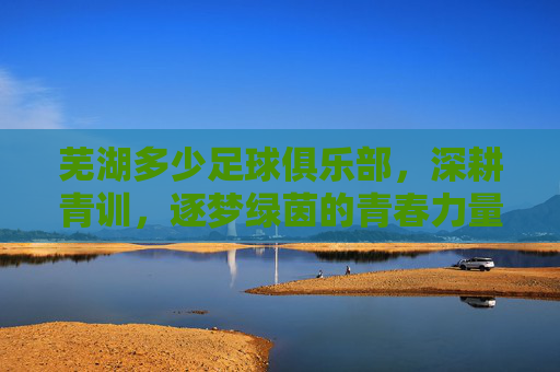 芜湖多少足球俱乐部,深耕青训,逐梦绿茵的青春力量,芜湖多少足球俱乐部,深耕青训,逐梦绿茵的青春力量