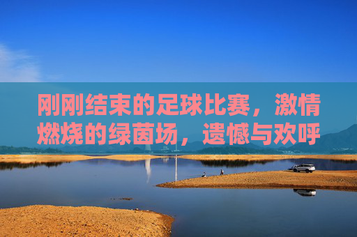 刚刚结束的足球比赛，激情燃烧的绿茵场，遗憾与欢呼交织的瞬间