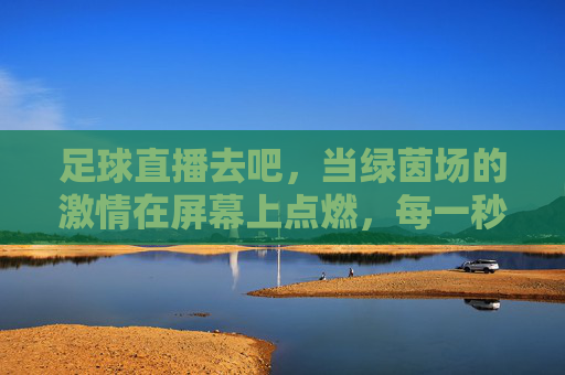 足球直播去吧，当绿茵场的激情在屏幕上点燃，每一秒都值得全力以赴，足球直播，绿茵激情点燃，每一秒都值得全力以赴