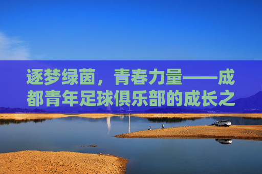 逐梦绿茵,青春力量——成都青年足球俱乐部的成长之路与未来展望,逐梦绿茵,青春力量——成都青年足球俱乐部的成长之路与未来展望