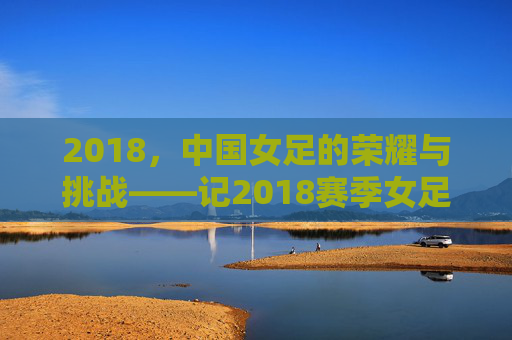 2018，中国女足的荣耀与挑战——记2018赛季女足队的关键时刻与团队精神