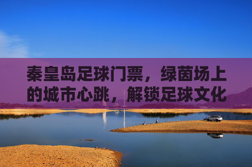 秦皇岛足球门票，绿茵场上的城市心跳，解锁足球文化新体验，秦皇岛足球门票，绿茵场上的城市心跳，解锁足球文化新体验