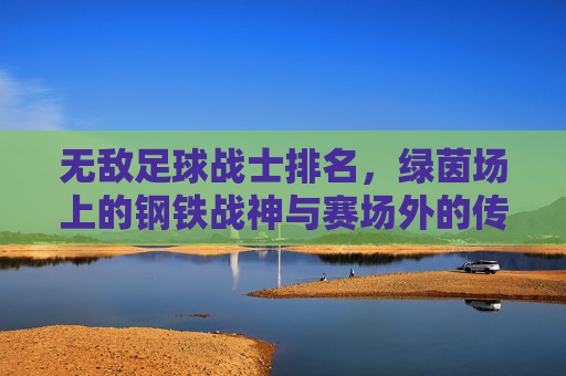 无敌足球战士排名，绿茵场上的钢铁战神与赛场外的传奇