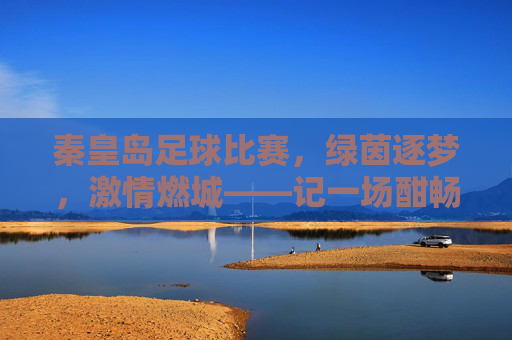 秦皇岛足球比赛，绿茵逐梦，激情燃城——记一场酣畅淋漓的足球盛宴，秦皇岛足球比赛，绿茵逐梦，激情燃城——记一场酣畅淋漓的足球盛宴