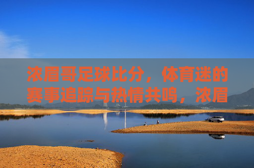 浓眉哥足球比分，体育迷的赛事追踪与热情共鸣，浓眉哥足球比分，体育迷的赛事追踪与热情共鸣