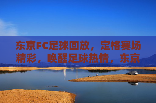 东京FC足球回放，定格赛场精彩，唤醒足球热情，东京FC足球回放，定格赛场精彩，唤醒足球热情
