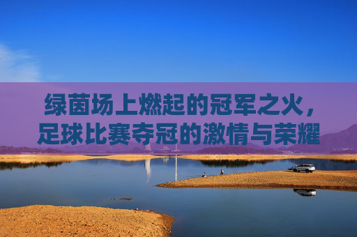 绿茵场上燃起的冠军之火,足球比赛夺冠的激情与荣耀,绿茵燃火,足球夺冠的激情与荣耀