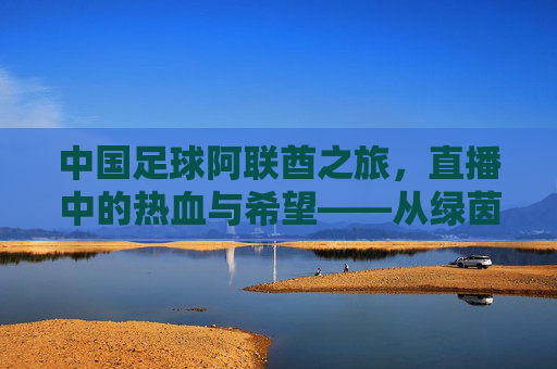 中国足球阿联酋之旅，直播中的热血与希望——从绿茵赛场到全球视野的见证，中国足球阿联酋之旅，直播里的热血与希望——绿茵赛场向全球视野的见证