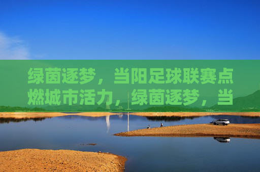 绿茵逐梦，当阳足球联赛点燃城市活力，绿茵逐梦，当阳足球联赛点燃城市活力