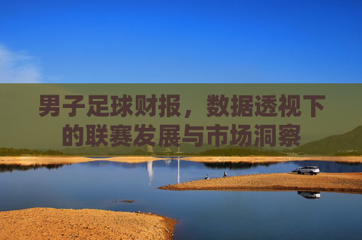 男子足球财报，数据透视下的联赛发展与市场洞察