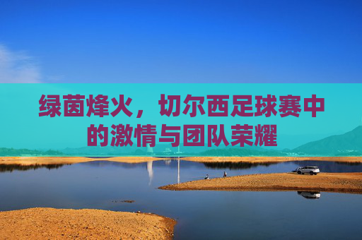 绿茵烽火，切尔西足球赛中的激情与团队荣耀
