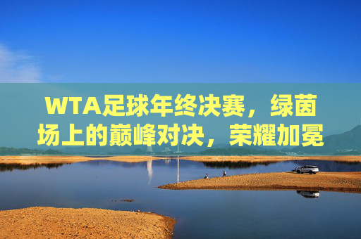 WTA足球年终决赛,绿茵场上的巅峰对决,荣耀加冕的璀璨时刻,WTA足球年终决赛,巅峰对决与荣耀加冕的璀璨时刻