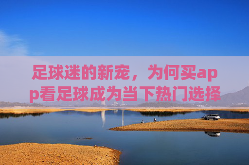足球迷的新宠，为何买app看足球成为当下热门选择？
