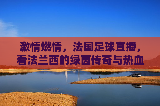 激情燃情，法国足球直播，看法兰西的绿茵传奇与热血瞬间