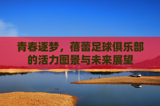 青春逐梦,蓓蕾足球俱乐部的活力图景与未来展望