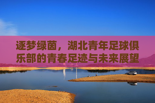 逐梦绿茵，湖北青年足球俱乐部的青春足迹与未来展望，逐梦绿茵，湖北青年足球俱乐部的青春足迹与未来展望