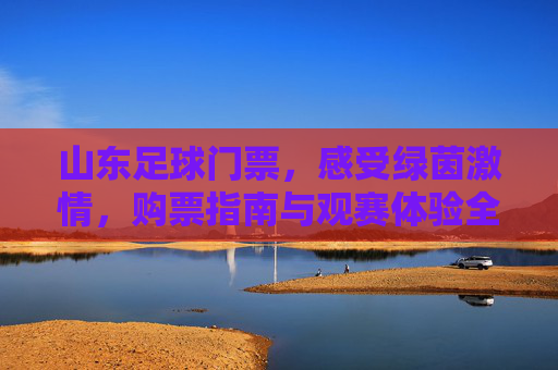 山东足球门票,感受绿茵激情,购票指南与观赛体验全解析