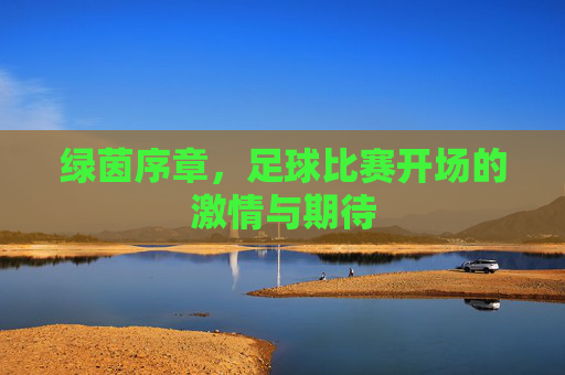 绿茵序章，足球比赛开场的激情与期待