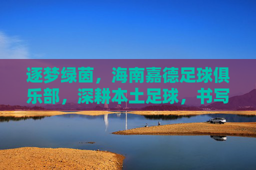 逐梦绿茵,海南嘉德足球俱乐部,深耕本土足球,书写海南足球新篇章,逐梦绿茵,海南嘉德足球俱乐部深耕本土足球书写海南足球新篇章