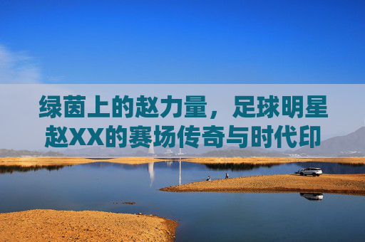 绿茵上的赵力量,足球明星赵XX的赛场传奇与时代印记