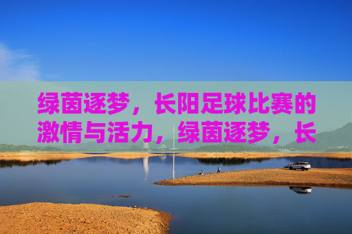 绿茵逐梦，长阳足球比赛的激情与活力，绿茵逐梦，长阳足球比赛的激情与活力