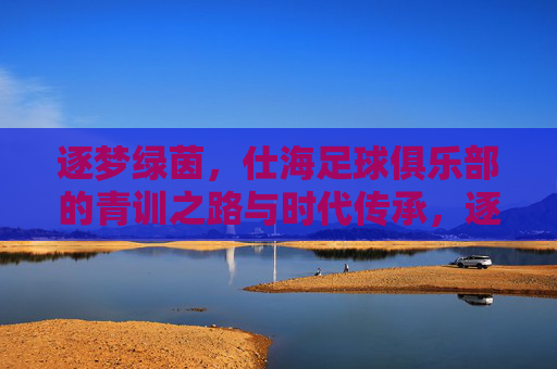 逐梦绿茵，仕海足球俱乐部的青训之路与时代传承，逐梦绿茵，仕海足球俱乐部的青训之路与时代传承