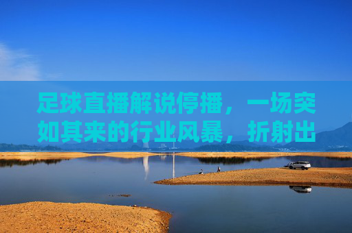 足球直播解说停播,一场突如其来的行业风暴,折射出的不仅是技术困境,更是内容生态的深层次挑战,足球直播解说停播,一场行业风暴,折射技术困境与内容生态的深层挑战