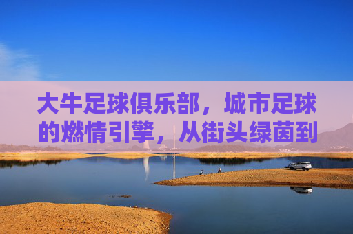 大牛足球俱乐部,城市足球的燃情引擎,从街头绿茵到职业赛场的新星