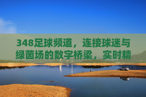 348足球频道，连接球迷与绿茵场的数字桥梁，实时精彩与深度解读的足球盛宴
