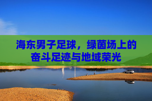 海东男子足球,绿茵场上的奋斗足迹与地域荣光