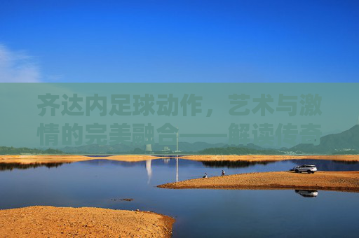 齐达内足球动作，艺术与激情的完美融合——解读传奇巨星的技术密码与运动哲学