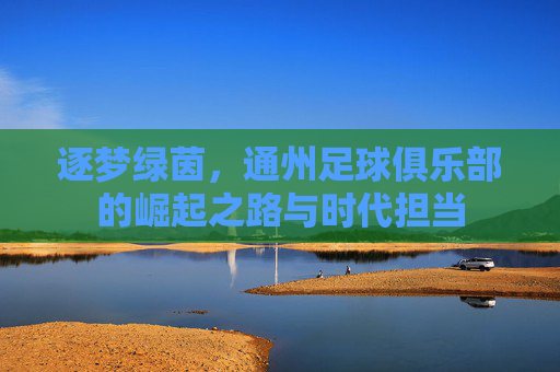 逐梦绿茵，通州足球俱乐部的崛起之路与时代担当