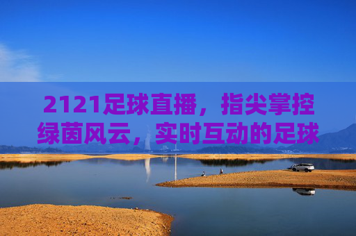 2121足球直播,指尖掌控绿茵风云,实时互动的足球新体验