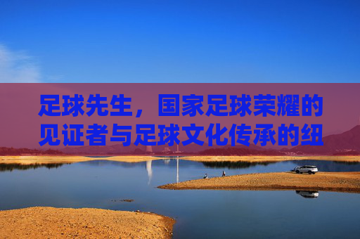 足球先生,国家足球荣耀的见证者与足球文化传承的纽带