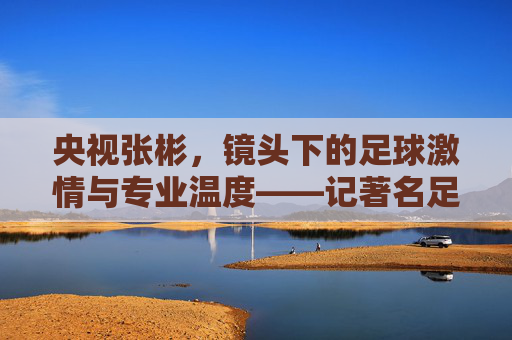 央视张彬，镜头下的足球激情与专业温度——记著名足球解说员与评论员张彬