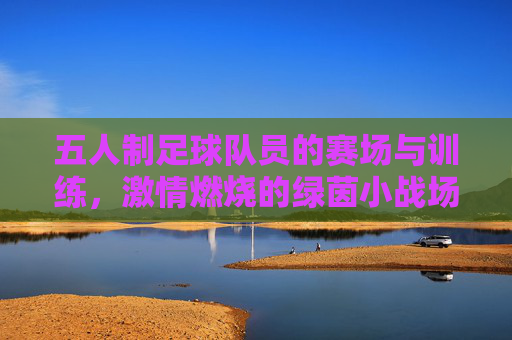 五人制足球队员的赛场与训练,激情燃烧的绿茵小战场