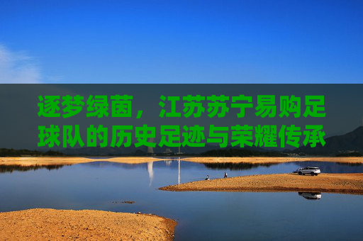 逐梦绿茵，江苏苏宁易购足球队的历史足迹与荣耀传承